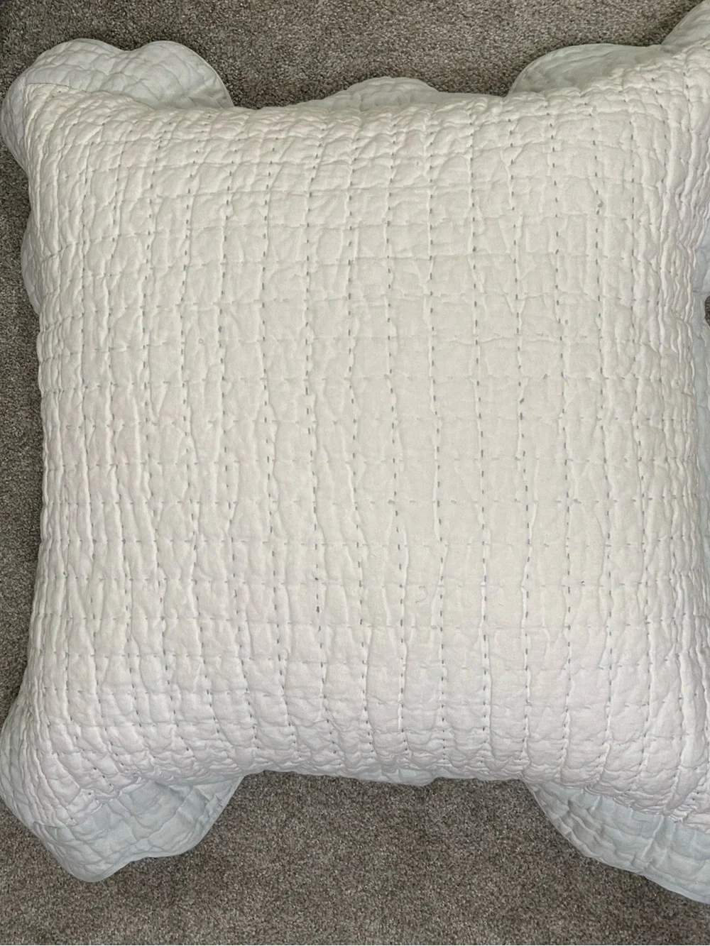 Serena and Lily Baywood Quilted Euro Sham